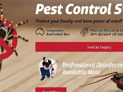 Bug Free Pest Control