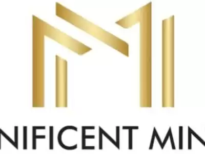 Magnificent Mindset - Coaches & Mentors