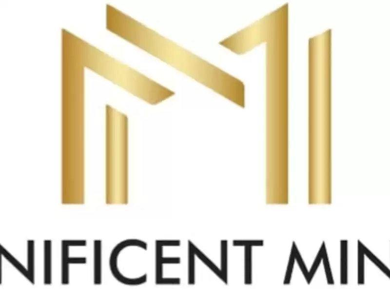 Magnificent Mindset - Coaches & Mentors
