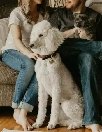 Kangaroo Valley Escapes